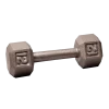 Body Solid Body-Solid Cast Iron Hex Dumbbell - 12 Lb. -Body Solid Store BSHEXDB012