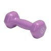 Body Solid Body-Solid 2 Lb. Vinyl Dumbbell 2 Body Solid Body-Solid 2 Lb. Vinyl Dumbbell -Body Solid Store BSVINYLDB02