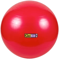 GoFit 55cm Stability Ball