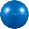 GoFit 55cm Pro Stability Ball 2 GoFit 55cm Pro Stability Ball -Body Solid Store GF 55PRO