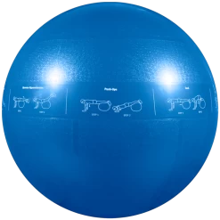 GoFit 55cm Pro Stability Ball