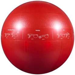 GoFit 65cm Pro Stability Ball