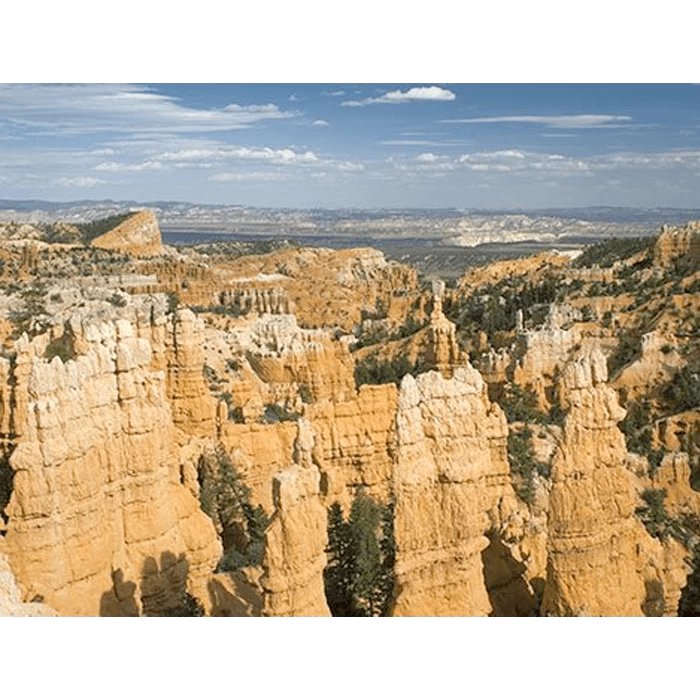 Passport Pack C 3 Passport Pack C